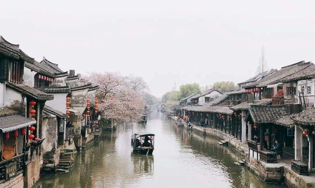 正宗砂锅粥的做法游戏画面